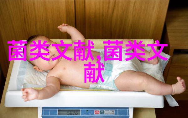 食用菌基地对外出租