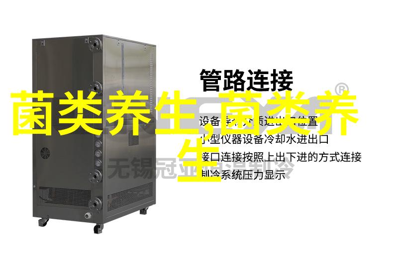 毛 木 耳有木头上的海蜇皮之称的佳肴